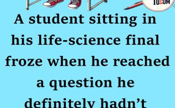 jokes for high schoolers